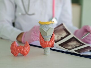 The doctor holds the results of a thyroid ultrasound examination. Thyroid diseases, nodular goiter, cancer