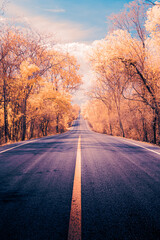 Fototapeta premium Infrared photography, a long, straight road leading into the distance. The road has a central yellow line marking