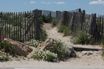 Küstenlandschaft