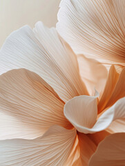 Flower Botanical Graphic Deign Asset