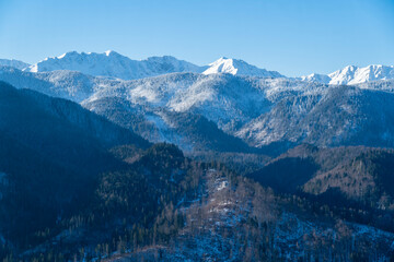 A frosty day in the mountains, a view of frosty trees and a snow-covered ridge.