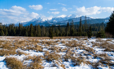 Panorama of the mountains in winter scenery seen from a clearing.