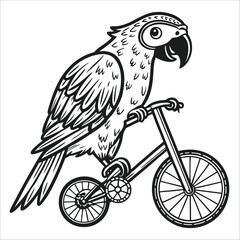 vector bicycle