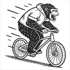 vector bicycle