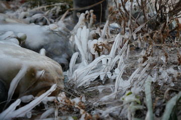 추운 겨울이 지나가는 흔적들