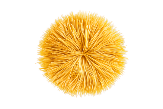 Overhead view of a circular arrangement of thin, dry, golden yellow pasta strands, resembling a stylized flower or sunburst against a transparent background