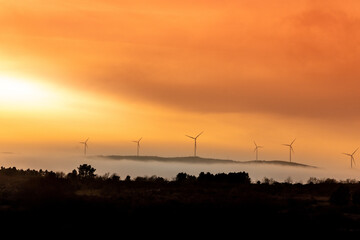 Obraz premium wind turbine at sunset