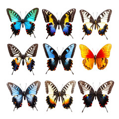 Colorful Butterfly Collage Abstract Art Nature Wings Insects