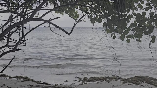 Plage paradisiaque 