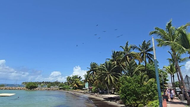 plage paradisiaque avec oiseaux 