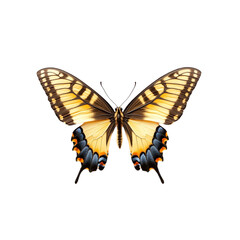 Naklejka premium Eastern Tiger Swallowtail Butterfly Vivid Wings Abstract Background,