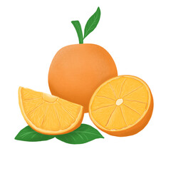A set of citrus fruits, whole and cut into three parts. Colored cartoon orange objects isolated on a white background