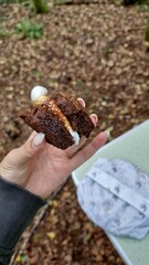 Dessert marshmallow et brownie au camping