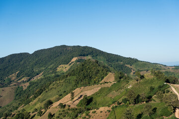 Fototapeta premium Mountain and green jungle in morning, doi sakad, Pua, Nan, Thailand.
