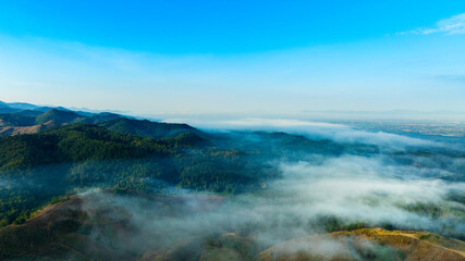 Aerial view of mountains and mixed forest. Green deciduous trees with mist clouds. The rich natural ecosystem of the rainforest concept is about conservation and natural reforestation.