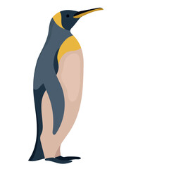 King penguin icon clipart avatar logotype isolated illustration