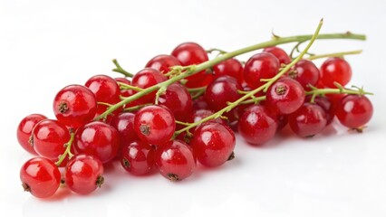 Red Currants on White Background