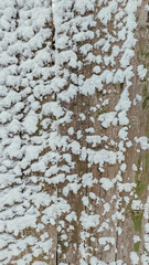 wooden background in snow