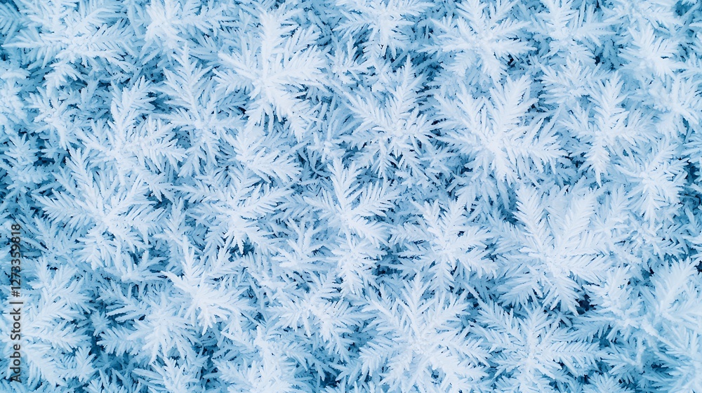Poster a close-up view of intricate frost patterns on a blue surface, showcasing delicate, crystalline stru