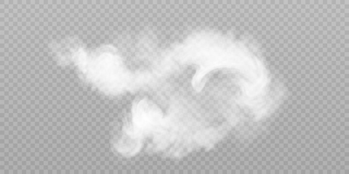 Smoke pattern on transparent background. Isolated smoke steam, smog, water vapor, vector illustration