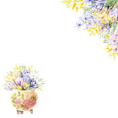 Watercolor illustration frame of spring flowers. Delicate crocuses, muscari, sprigs of willow and mimosa, hyacinths, hand drawn on white background. Pastel colors create an atmosphere of coziness and