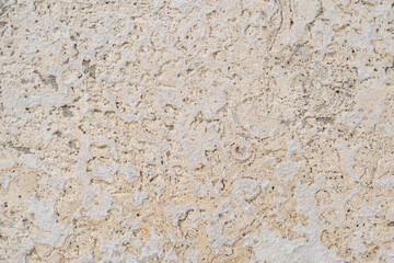 Textura de Pared Blanca Desgastada: Fondo Rústico y Vintage