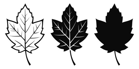 Leaf Vector. Delicate leaves line art. Perfect for nature, botanical, eco friendly, and organic design concepts. Fully scalable and customizable for print and digital.