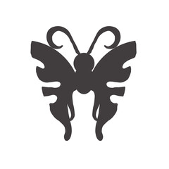 black and white butterfly