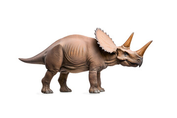 Obraz premium Dino triceratops isolated on white background