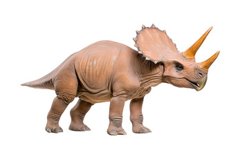 Fototapeta premium Dino triceratops isolated on white background