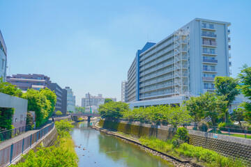 Obraz premium 川と橋と都市風景