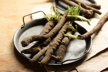 Scorzonera roots in a vintage tray