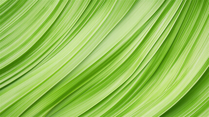 A vibrant green wave-like texture flowing smoothly, evoking a sense of calm and nature. The soft undulating lines represent natural beauty.
