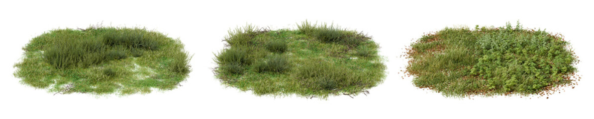 Fototapeta premium bush grass transparent