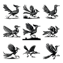 Roadrunner vector set icon clipart illustration & drawing black & white