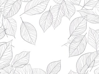 Delicate leaf outline frame, autumn, white background, design element