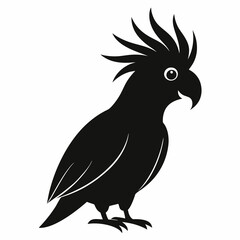Minimalist Cockatoo Silhouette Art