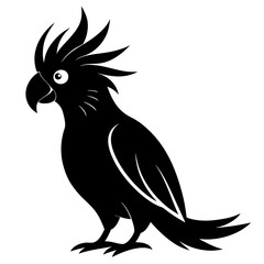 Minimalist Cockatoo Silhouette Art