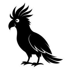 Minimalist Cockatoo Silhouette Art