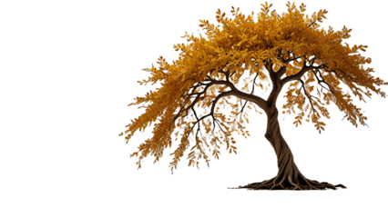 tree silhouette vector