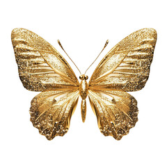Golden Glitter Butterfly Artistic Design Nature Beauty