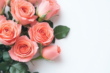 Fresh pink roses arranged neatly on a white surface