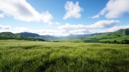 Obraz premium Tranquil Grassland Valley Landscape