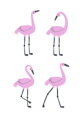 Pink flamingo set, vector illustration. Exotic birds in different poses for postcard design, clothing and other.
