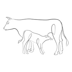 Cow and calf one line drawing on white isolated background