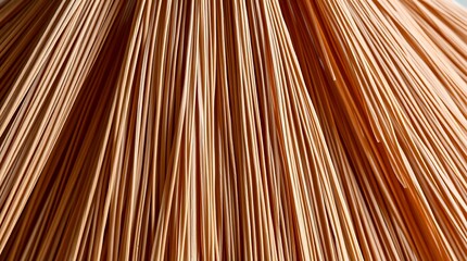 Abstract Brown Broom Straws Texture Showing Radiating Pattern Close Up