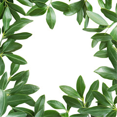 Green leaves frame vibrant abstract artwork nature art