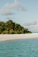 A pristine tropical beach with soft white sand, lush green palm trees, and clear turquoise waters. A serene paradise perfect for relaxation and escape into nature in Maldives