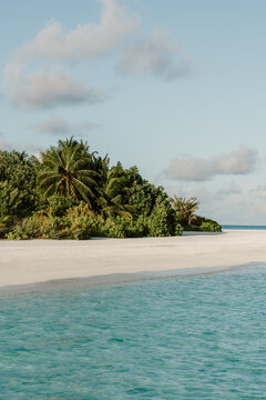 A pristine tropical beach with soft white sand, lush green palm trees, and clear turquoise waters. A serene paradise perfect for relaxation and escape into nature in Maldives