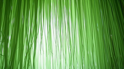 Fototapeta premium Abstract Green Lines Background with Bright White Glow From Behind